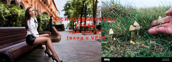 соль ск Волоколамск