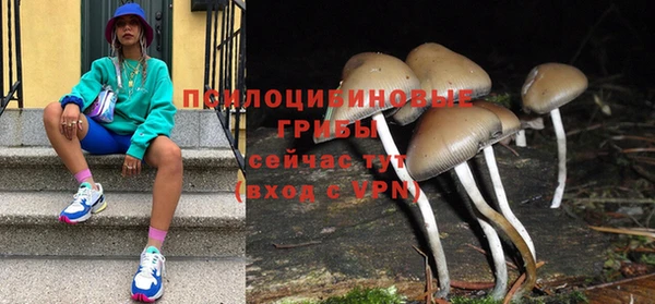 молекула духа Волосово